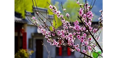阳春三月，焦点娱乐一大波展会即将来袭，您准备好了吗？
